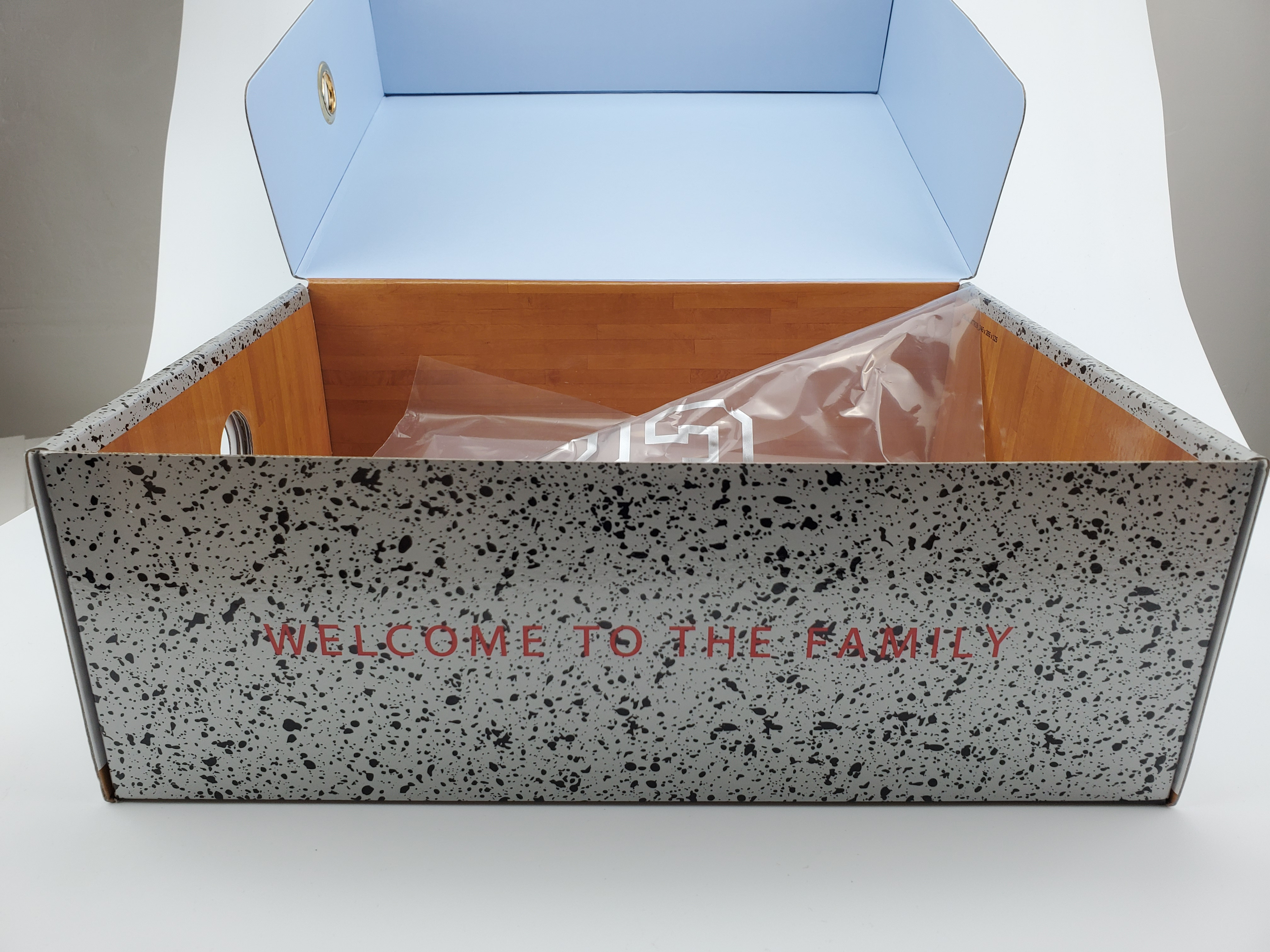 Jordan 5 Retro Trophy Room Ice Blue