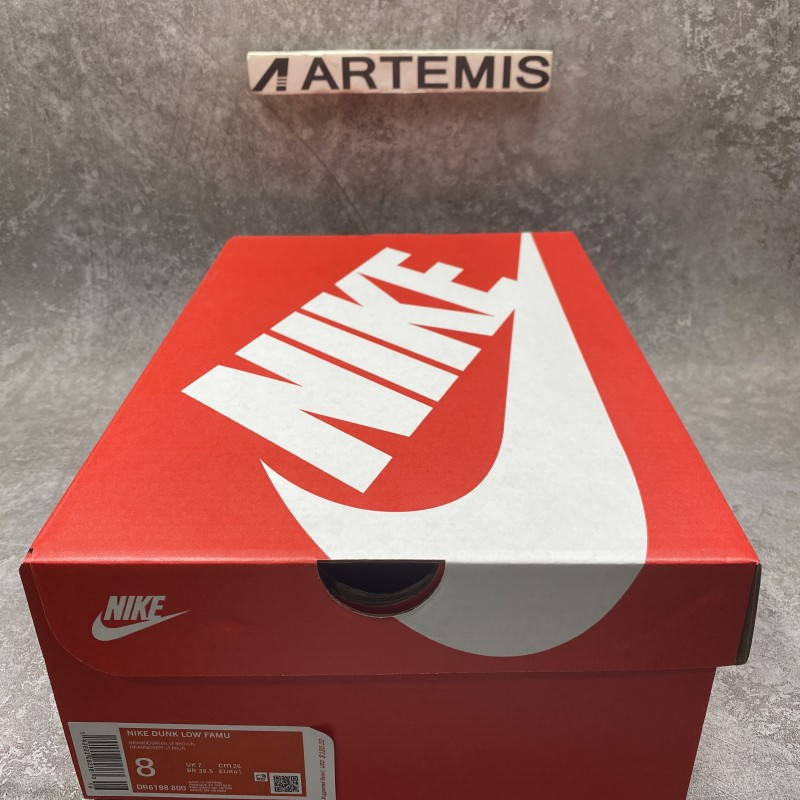 Nike Dunk Low Florida A&M University